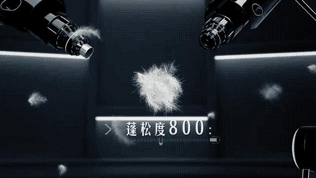 沈阳气温零下17天,沈阳最低气温能达到零下四十度吗