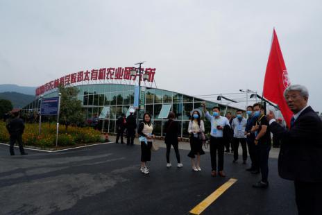 常回家看看！2020年，上海湘菜餐饮人再出发的“192小时”