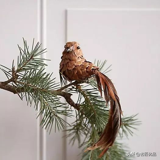 松塔创意手工实用又好看,松塔创意手工动物