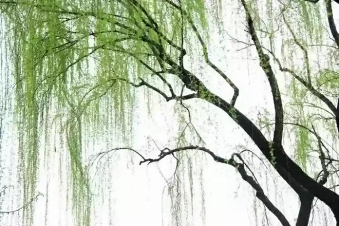 梦参老和尚五台山,梦参老和尚五台山神奇的故事