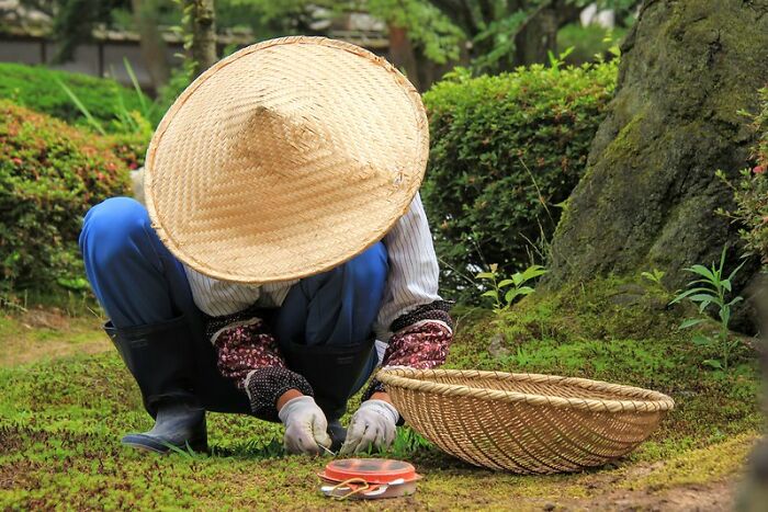 歪果网友分享自己暂时逃避现实的方法,压力大时可以试试了