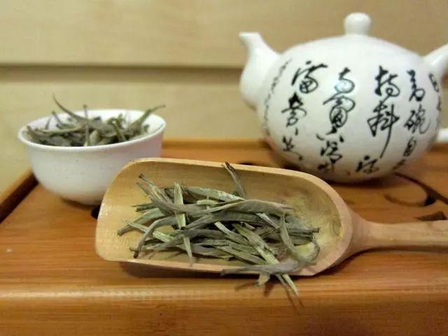 “走进”茶乡，来士陈普茶