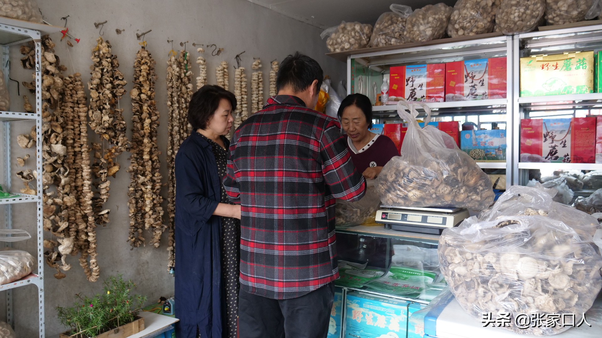 张家口莜面历史,北京人吃莜面是从什么时候开始的