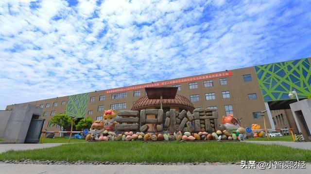 零食巨头一年收入39亿,国民零食第一股三只松鼠