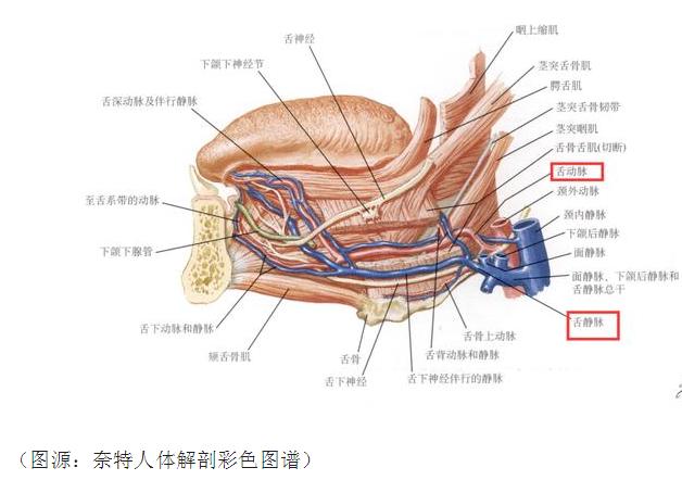 影视剧中咬舌自尽,电视剧里咬舌自尽真的可能吗