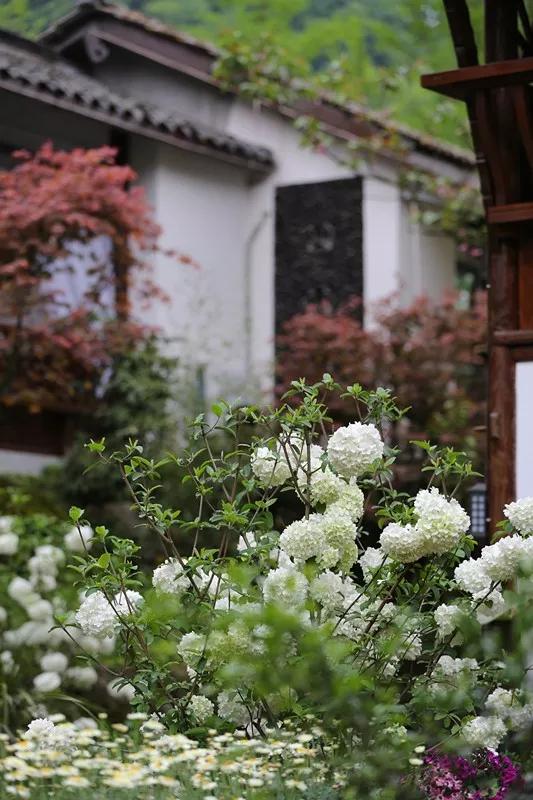 凉快避暑的民宿,成都都江堰与青城山附近的民宿