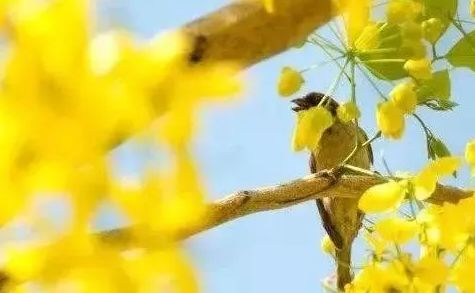 心理测试测你近期需要提防是什么,心理测试四种礼服测你的脾气