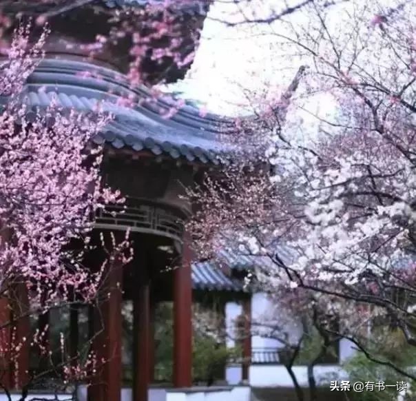 南怀瑾谈做人要认真,南怀瑾为人处世经典语录