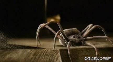 关于夏洛特的电影,夏洛特的网国语电影完整版