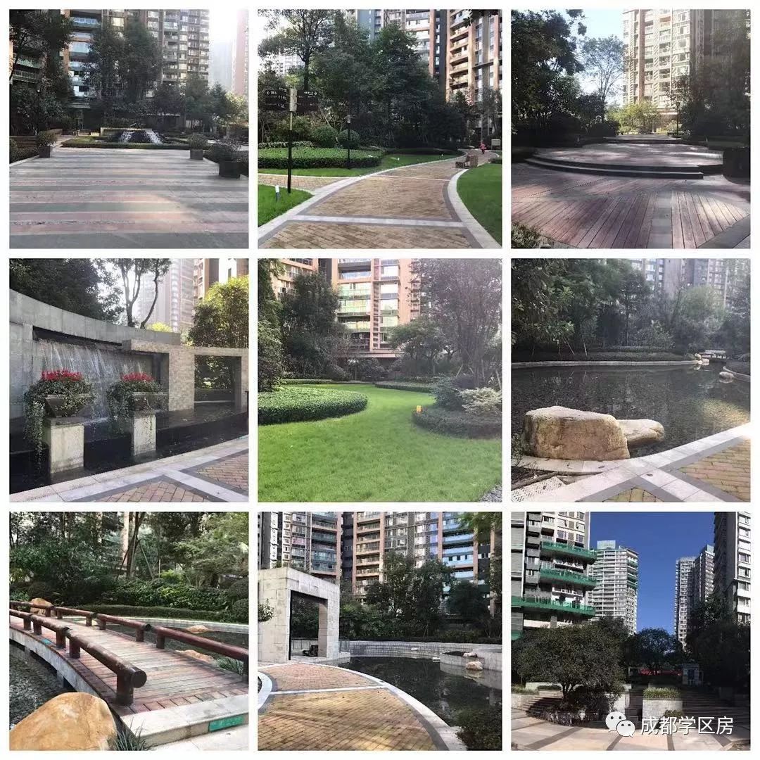 天府新区好的学区房有哪些,天府新区小学排名及周边楼盘