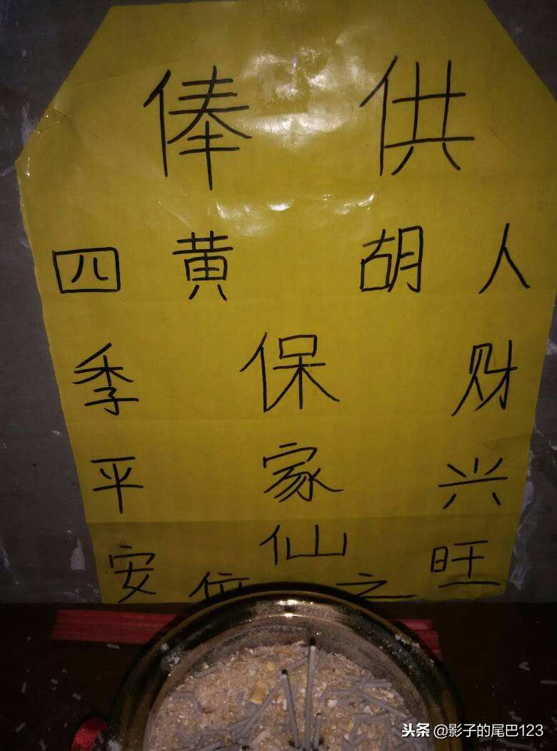 五种灵性动物之狐狸,东北五大灵性动物