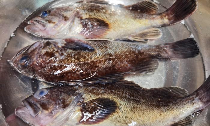 炖鱼除腥增香的香料,炖鱼去腥味的最佳调料