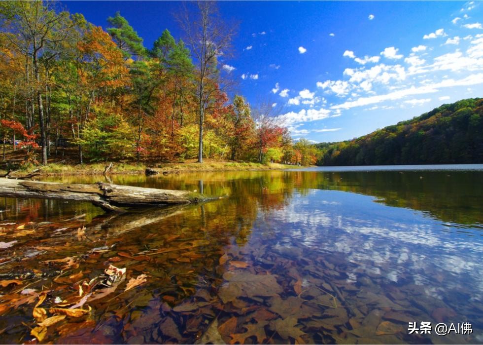 美国俄克拉荷马州人口,美国阿拉斯加州人口