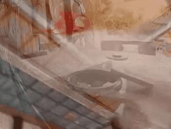 香港张智尧,港星张智尧