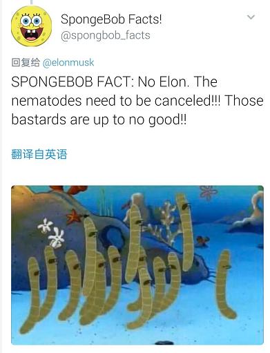 马斯克高喊宽容与爱,网友直呼回家买菜