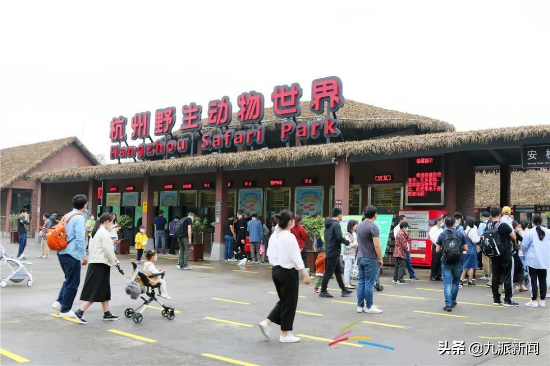 杭州动物园3只金钱豹逃脱,杭州3只金钱豹外逃