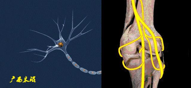 膝盖扭伤前交叉韧带损伤可以热敷,前交叉韧带扭伤最快自愈方法