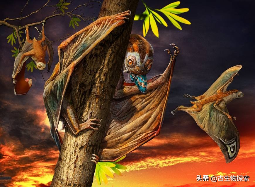 缈奸緳鍊掓寕鍗婄┖,缈奸緳鍊掓寕