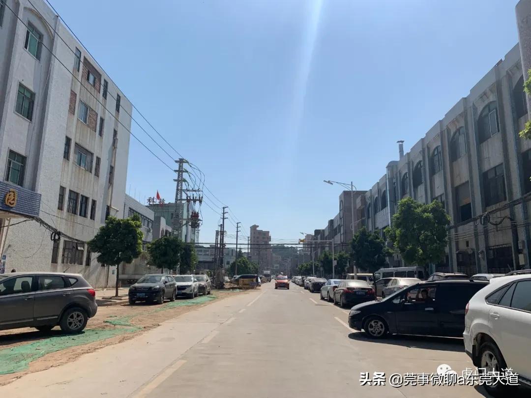 东莞福地旧改,东莞运河城旧改