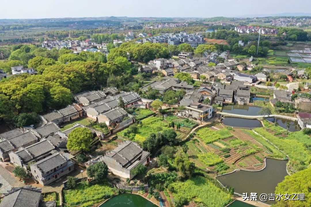 吉水街头采访,吉水县新闻视频