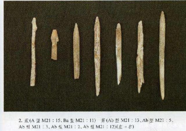 7300年前谜案：姑娘身上18把骨器，会阴处1支骨钉，全身35处伤