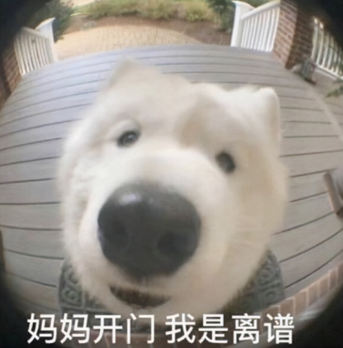 电脑电源怎么看出厂日期,怎么看懂电脑电源的型号