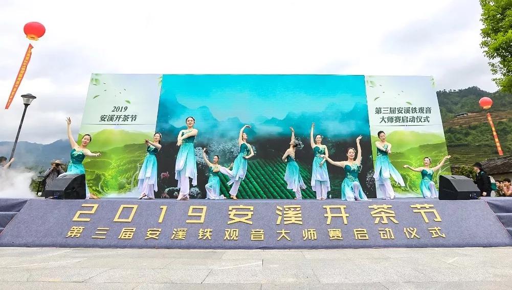 探访福建铁观音茶叶,安溪铁观音传承茶文化价格