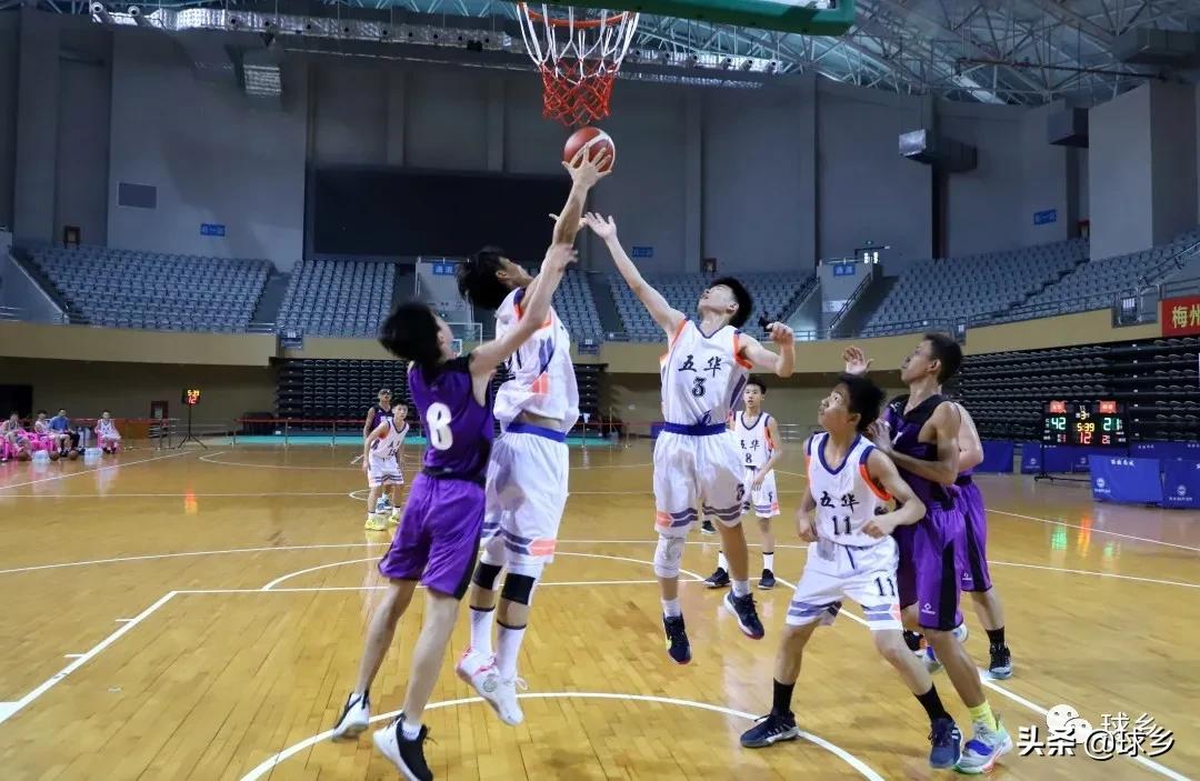 九运会男篮八一广东,第九届全运会男篮决赛录像