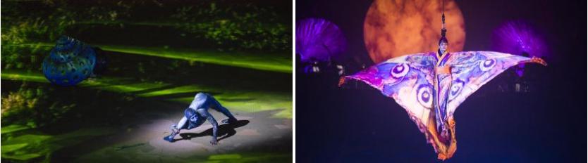 西双版纳原始森林门票,西双版纳所有景点门票一览表