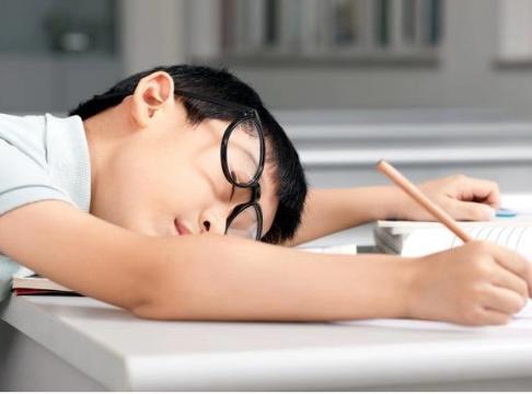 学而思网校和学而思培优在线区别,学而思网校和学而思培优哪个好