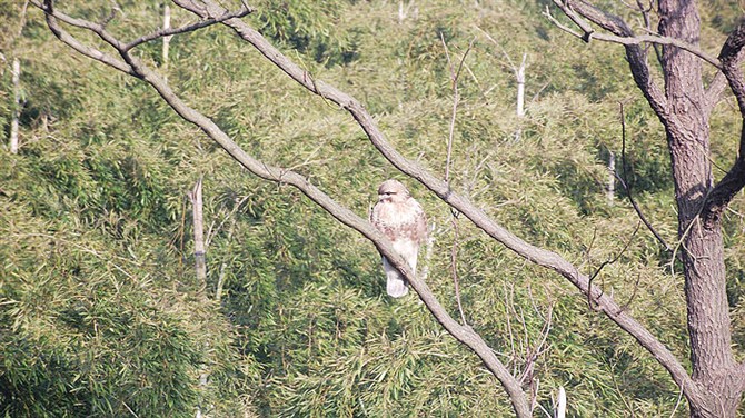 宜兴竹海山顶华南第一峰,宜兴华东第一竹海