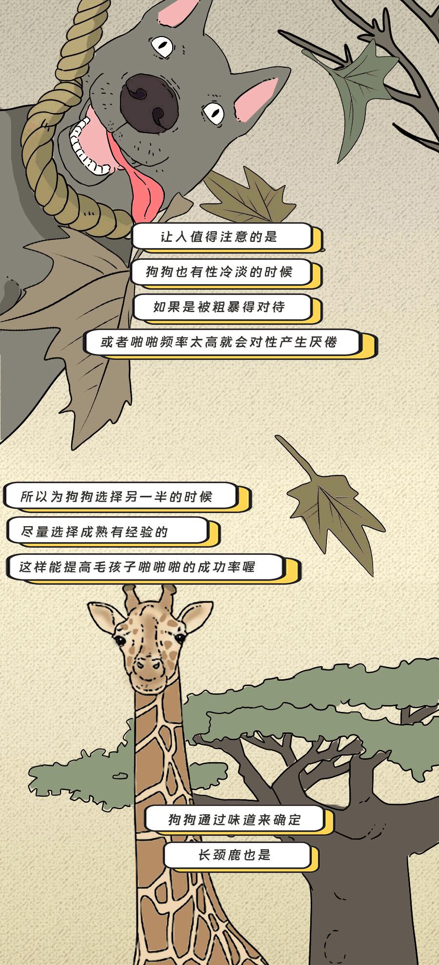 论啪啪啪,人类可比不上它们……