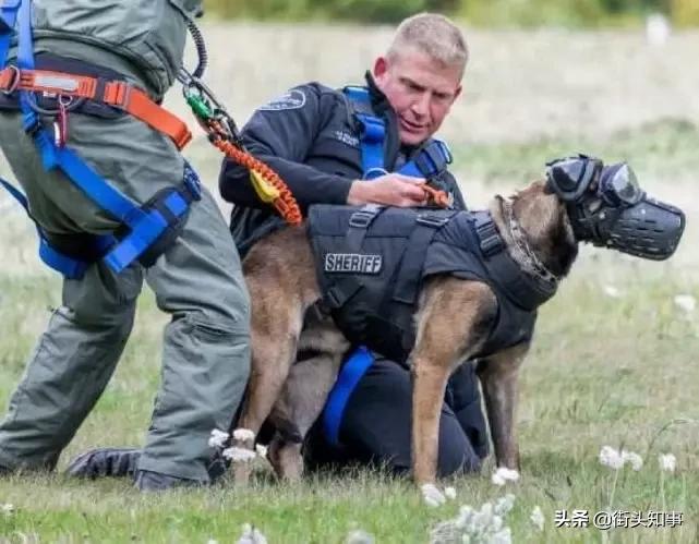 美军用哪款降噪耳罩,美军隔音耳罩