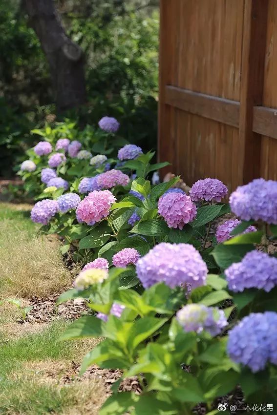 澶氳倝澶х浜屾湪,澶氳倝杈句汉浜屾湪