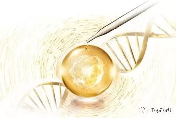 凡士林烟酰胺亮白身体乳,凡士林玫瑰烟酰胺身体乳真实测评