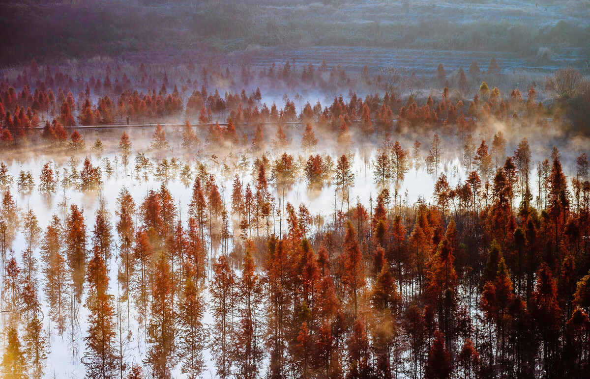 摄影到底有多难学你还在走弯路吗,零基础学摄影应该从哪里开始入手