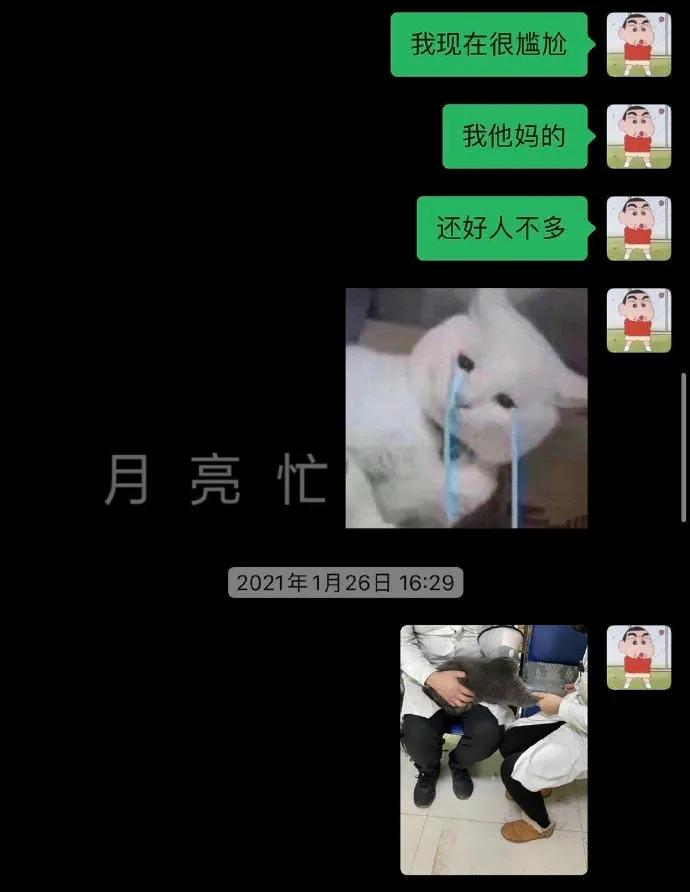万万没想到被骗的这么惨，我们家猫怀了一肚子屎