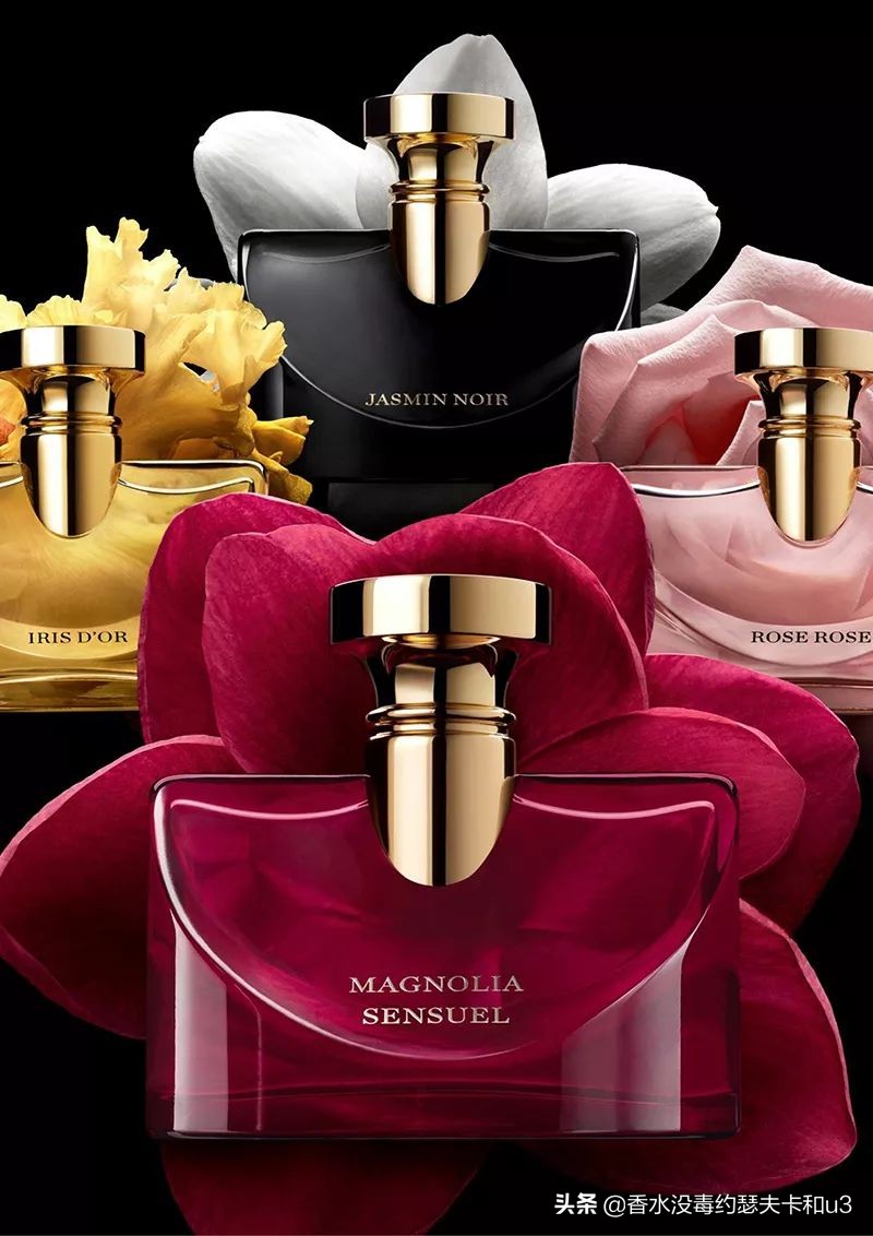 宝格丽香水：经典“三茶”后真无好香