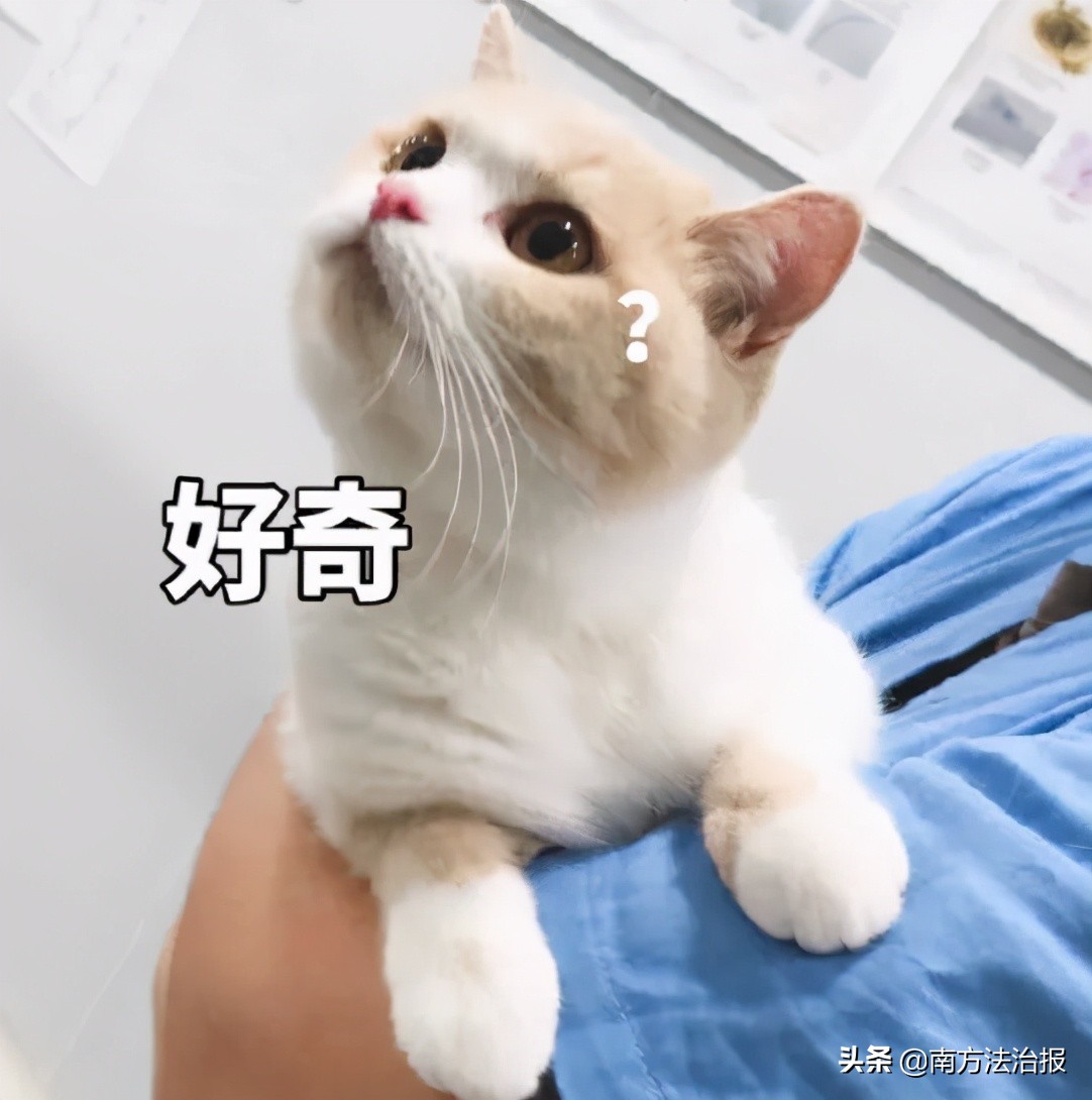 幼儿园里有可怕的怪物,幼儿园发现神秘怪物