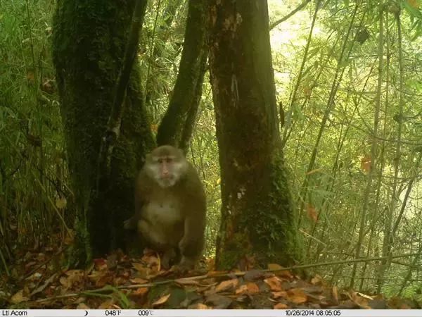 汶川是什么省,汶川大地震