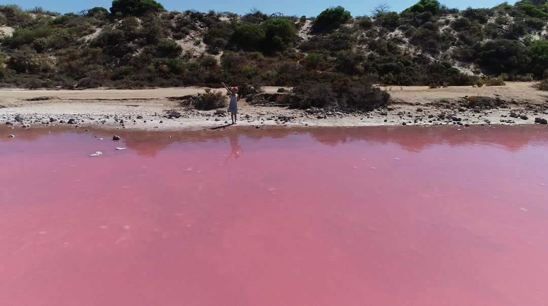 这地方是男人天堂,我们的大宝马也怕了