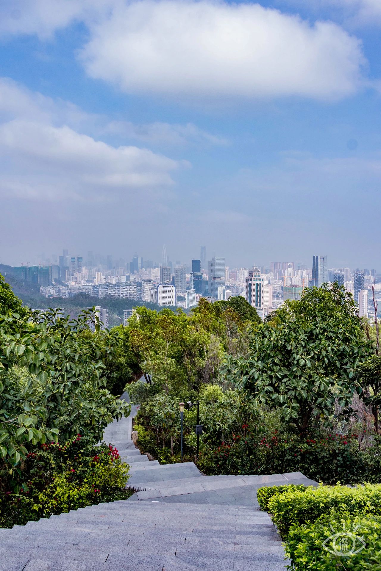 深圳旅游攻略地铁沿线景点,深圳市地铁2号线打卡的24个景点