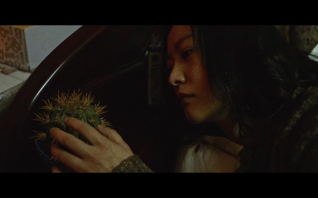 郝蕾大尺度表演，揭示最压抑的亲密关系