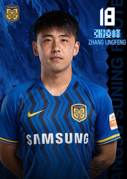 中超夺冠给苏宁易购带来什么,中超总决赛苏宁队教练