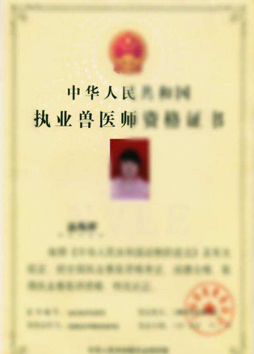 宠物医生在宠物医院看病,宠物医生告诉你该怎么办