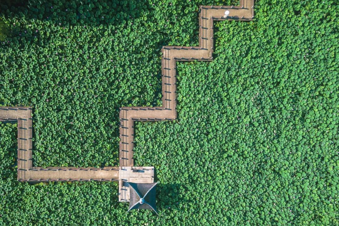 武汉冷门自驾免费景点,武汉旅游景点免费预约