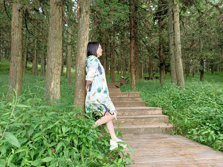 大美武隆仙女山,畅游重庆武隆区仙女山