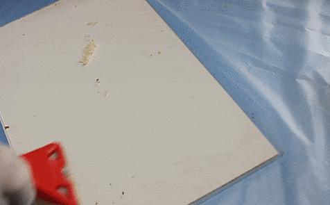 虾青素推荐新西兰,平价虾青素抗老精华