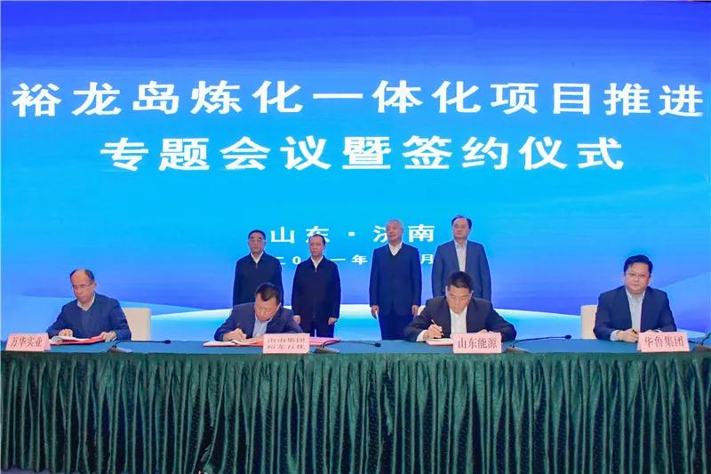山东裕龙石化增资扩股协议,裕龙岛炼化投资