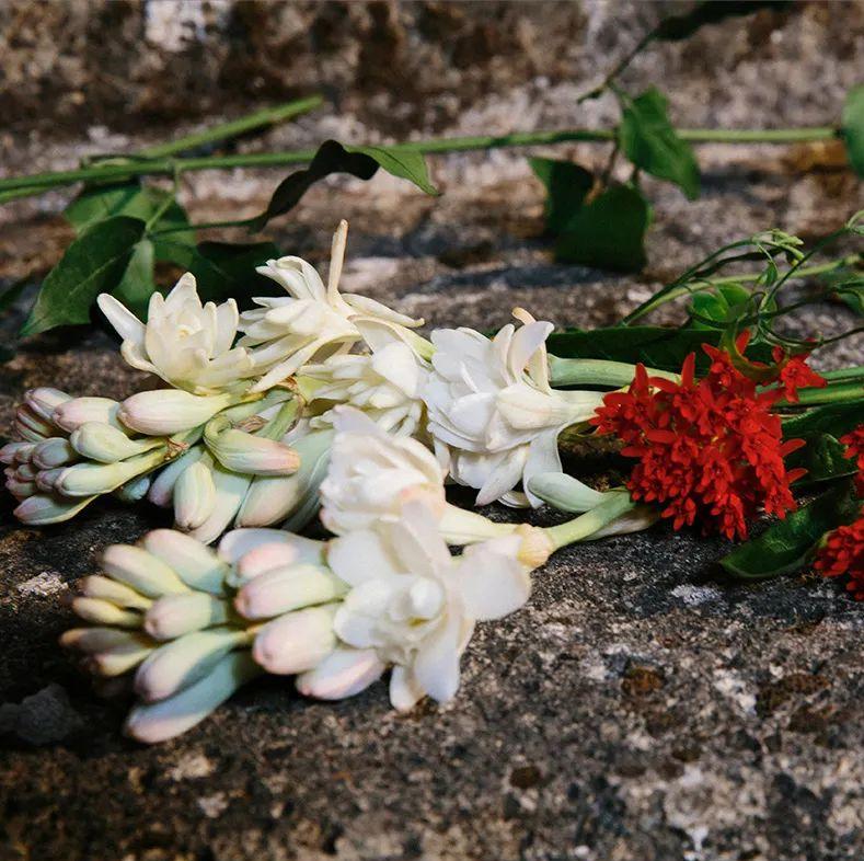 gucci古驰flora经典花之舞女士香水,guccipourhommeii男性淡香水